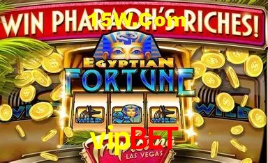 Experiência VIP vipbet